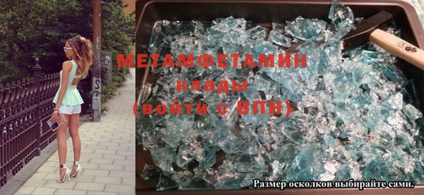 индика Козельск