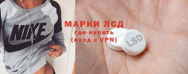 прущие крисы Болотное