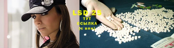 spice Болохово
