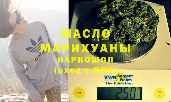 индика Козельск