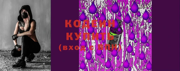 индика Козельск