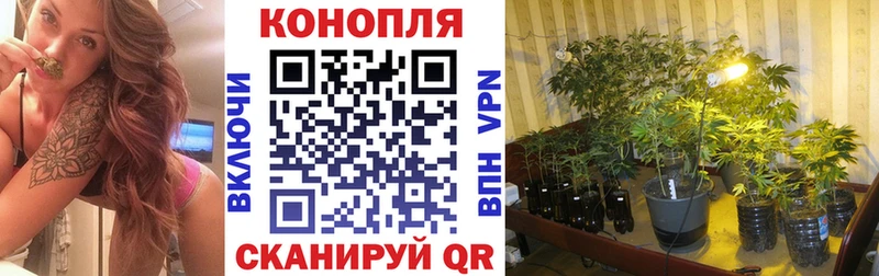 Шишки марихуана White Widow  omg зеркало  Киренск 